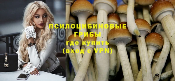 спайс Арсеньев